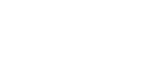 Pydantic logo